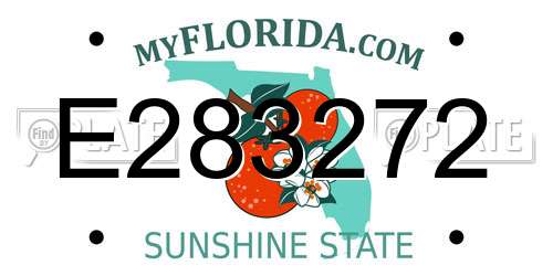 E283272 Florida License Plate