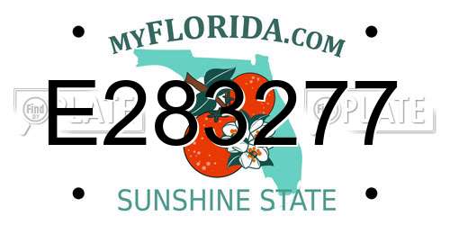 E283277 Florida License Plate