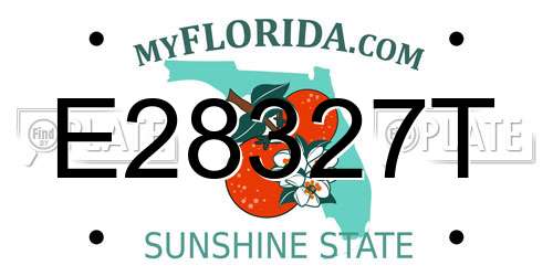 E28327T Florida License Plate