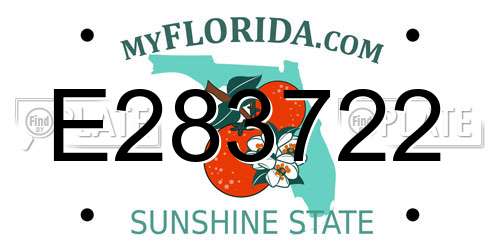 E283722 Florida License Plate
