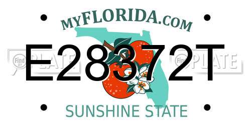 E28372T Florida License Plate