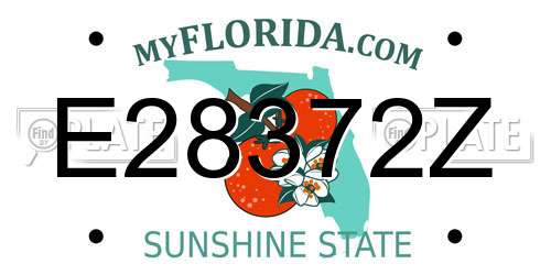 E28372Z Florida License Plate