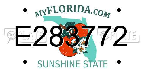 E283772 Florida License Plate