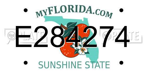 E284274 Florida License Plate