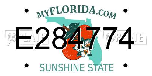 E284774 Florida License Plate