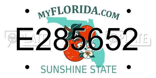 E285652 Florida License Plate