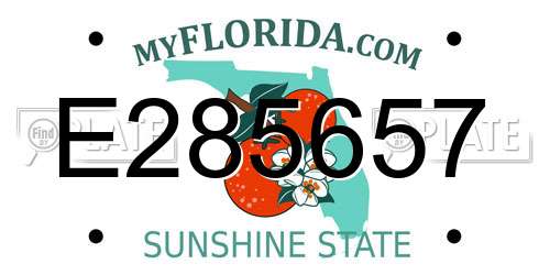E285657 Florida License Plate