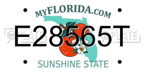 E28565T Florida License Plate