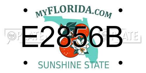 E2856B Florida License Plate