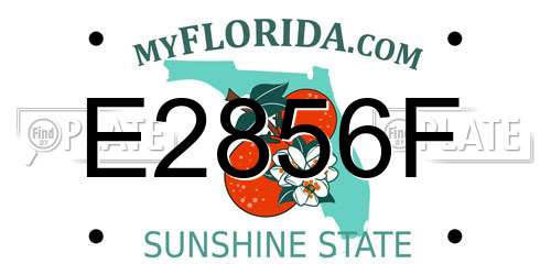 E2856F Florida License Plate