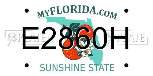 E2860H Florida License Plate