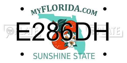 E286DH Florida License Plate