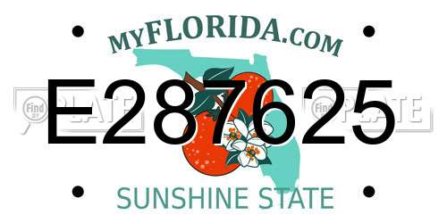 E287625 Florida License Plate