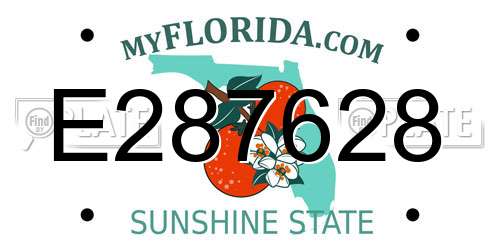 E287628 Florida License Plate