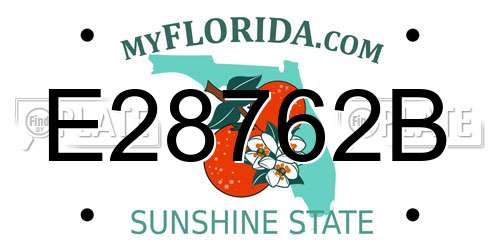 E28762B Florida License Plate