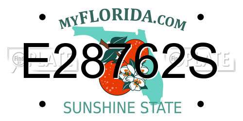 E28762S Florida License Plate