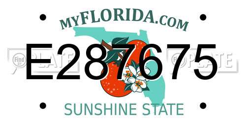 E287675 Florida License Plate