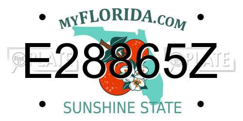 E28865Z Florida License Plate