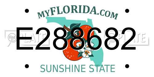 E288682 Florida License Plate
