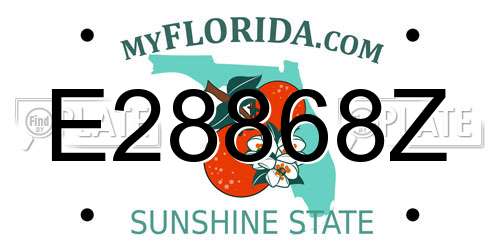 E28868Z Florida License Plate