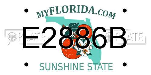 E2886B Florida License Plate