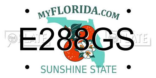 E288GS Florida License Plate