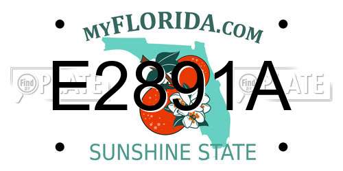 E2891A Florida License Plate