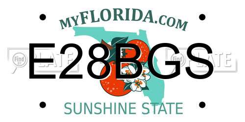 E28BGS Florida License Plate