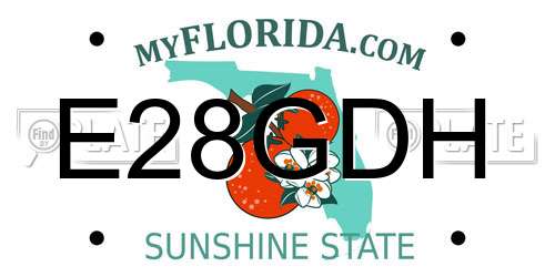 E28GDH Florida License Plate