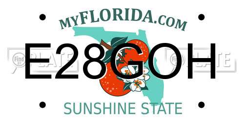 E28GOH Florida License Plate