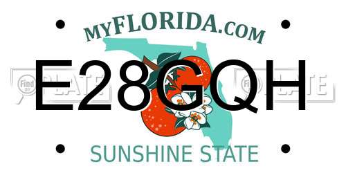 E28GQH Florida License Plate