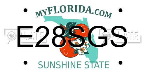 E28SGS Florida License Plate