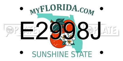 E2998J Florida License Plate
