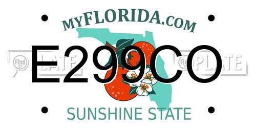 E299CO Florida License Plate