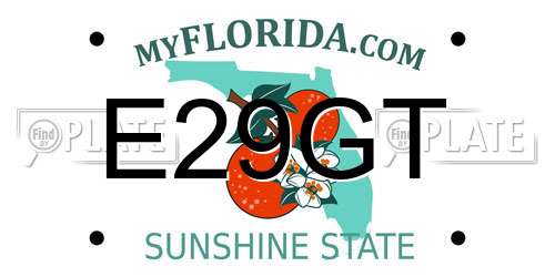 E29GT Florida License Plate