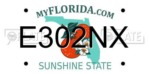 E302NX Florida License Plate