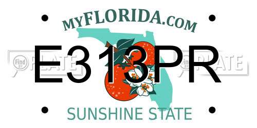 E313PR Florida License Plate
