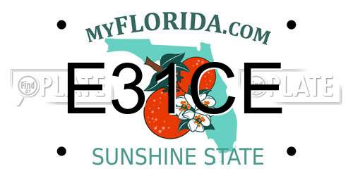 E31CE Florida License Plate