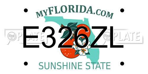 E326ZL Florida License Plate