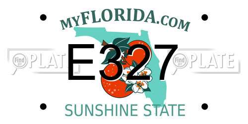E327 Florida License Plate