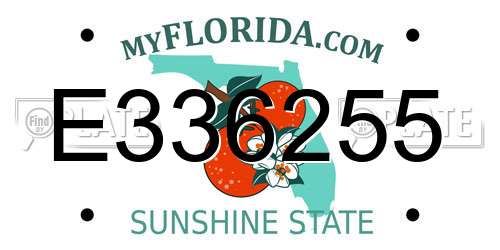 E336255 Florida License Plate