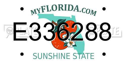 E336288 Florida License Plate