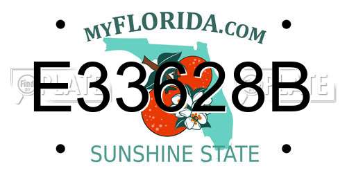 E33628B Florida License Plate