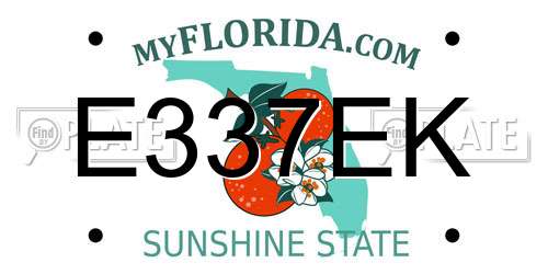 E337EK Florida License Plate