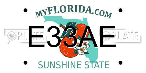 E33AE Florida License Plate