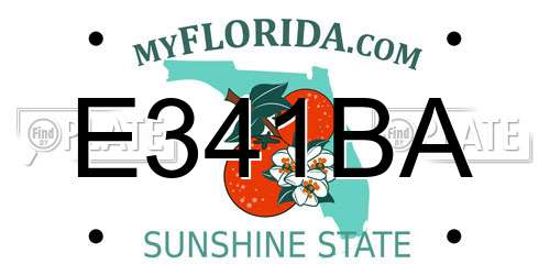 E341BA Florida License Plate