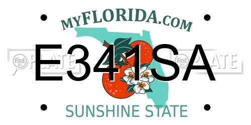 E341SA Florida License Plate