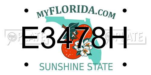 E3478H Florida License Plate