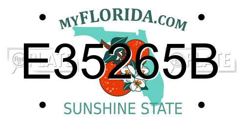E35265B Florida License Plate