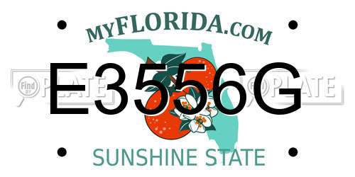 E3556G Florida License Plate